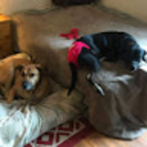 Meet your Posher, Kevin